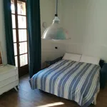 Rent 1 bedroom apartment in Turin