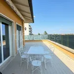 Rent 3 bedroom apartment of 90 m² in Bologna