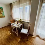 Miete 1 Schlafzimmer wohnung von 35 m² in Heidelberg