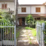 Rent 5 bedroom house of 85 m² in Grosseto