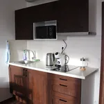 Rent 1 bedroom apartment of 33 m² in Prague