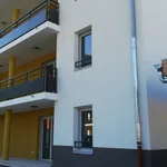 Rent 3 bedroom apartment of 64 m² in Scionzier