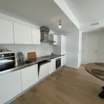 Rent 1 bedroom apartment of 73 m² in Antwerp