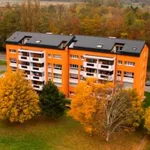 Rent 5 bedroom apartment in MONTHEY