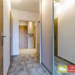 Pronajměte si 2 ložnic/e byt o rozloze 47 m² v Prague