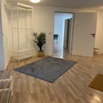 Miete 2 Schlafzimmer wohnung von 105 m² in Hanover