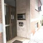 Rent 2 bedroom apartment of 90 m² in Roma