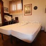 Rent 3 bedroom apartment of 77 m² in Siena