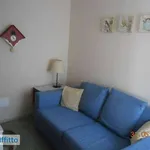 Affitto 2 camera casa di 36 m² in Bardonecchia