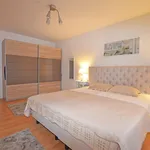 Rent 1 bedroom apartment in Hasselt