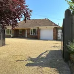 Rent 4 bedroom house in Rother