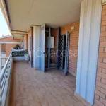 Rent 3 bedroom apartment of 80 m² in Pomezia