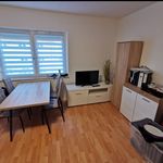 Rent 1 bedroom apartment of 18 m² in Stuttgart