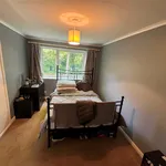 Rent 2 bedroom flat in London