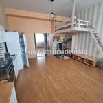 Rent 3 bedroom apartment of 50 m² in Sosnowiec