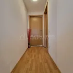 Rent 2 bedroom apartment of 62 m² in Lovnic