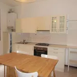 Rent 1 bedroom apartment of 50 m² in Piove di Sacco