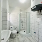 Rent 1 bedroom apartment of 26 m² in Prostějov