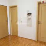 Pronajměte si 1 ložnic/e byt o rozloze 44 m² v České Budějovice