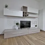 Rent 1 bedroom apartment in vicenza