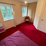 Rent 4 bedroom house in North West England