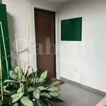 Affitto 3 camera appartamento di 80 m² in Biella