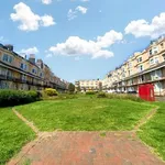 Rent 1 bedroom flat in Brighton