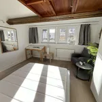 Rent 1 bedroom apartment of 40 m² in brussels