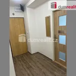 Rent 3 bedroom apartment of 68 m² in Mělník