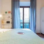 Rent 1 bedroom apartment in Rome