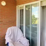 Rent 5 bedroom apartment in Madrid