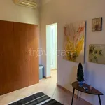 Rent 1 bedroom apartment of 40 m² in Livorno