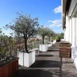 Rent 3 bedroom apartment in Toulouse