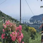 Rent 2 bedroom apartment of 43 m² in Moneglia