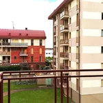 Rent 2 bedroom apartment of 50 m² in Piacenza