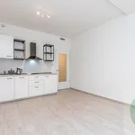 Rent 1 bedroom apartment in Prague