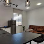 Rent 4 bedroom apartment in Valencia