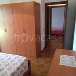 Rent 3 bedroom apartment of 80 m² in Silvi