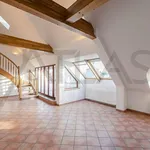 Rent 4 bedroom apartment of 250 m² in Prague