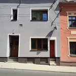 Rent 1 bedroom apartment in Chomutov