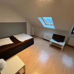 Rent 1 bedroom apartment of 24 m² in Mannheim