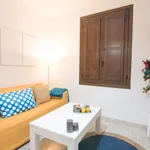 Rent 1 bedroom apartment in granada