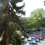 Rent 2 bedroom apartment of 58 m² in Prague