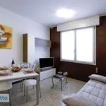 Rent 2 bedroom apartment of 55 m² in Treviso