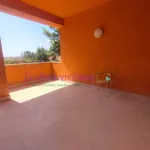 Rent 4 bedroom apartment of 5 m² in Paceco