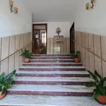 Rent 1 bedroom apartment of 50 m² in Roma