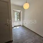 Rent 1 bedroom apartment of 21 m² in Torino