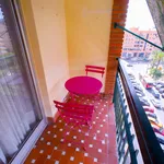 Alquilar 4 dormitorio apartamento en Valencia