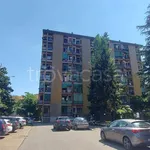 Rent 1 bedroom apartment of 35 m² in Milano