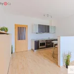 Rent 1 bedroom apartment of 37 m² in Hradec Králové